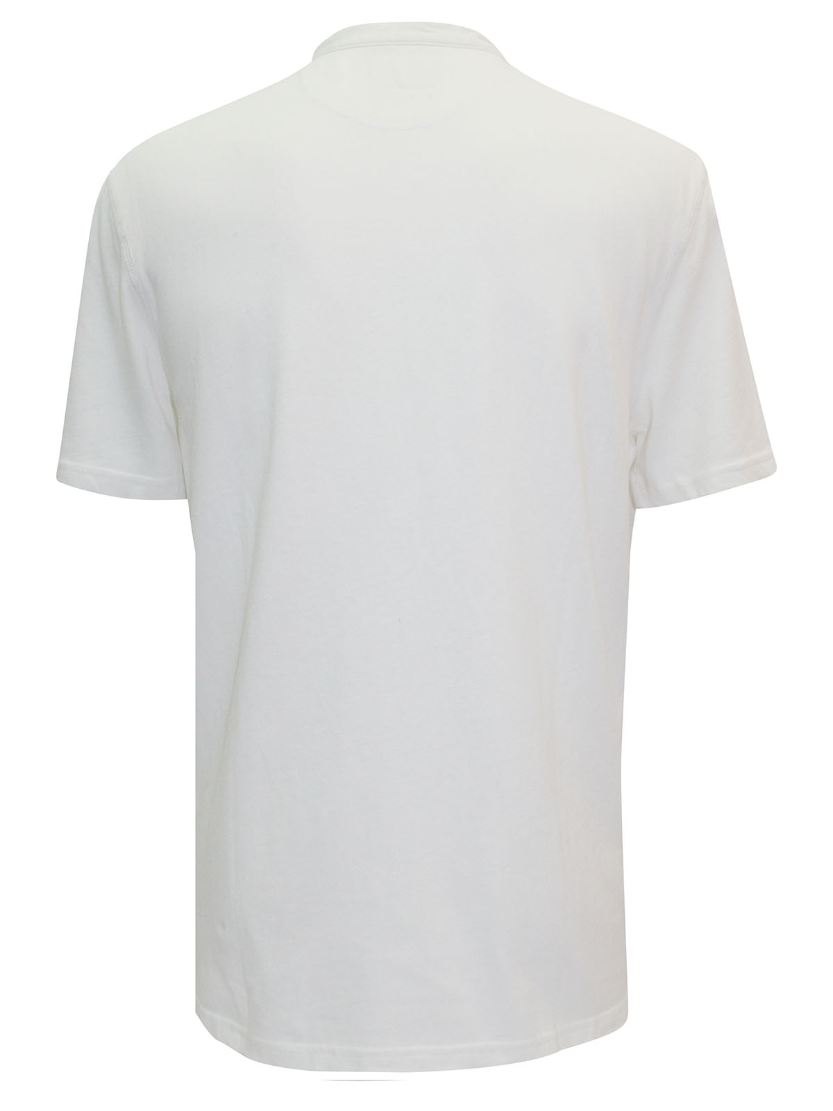 Back View